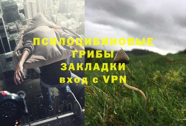 apvp Алексеевка
