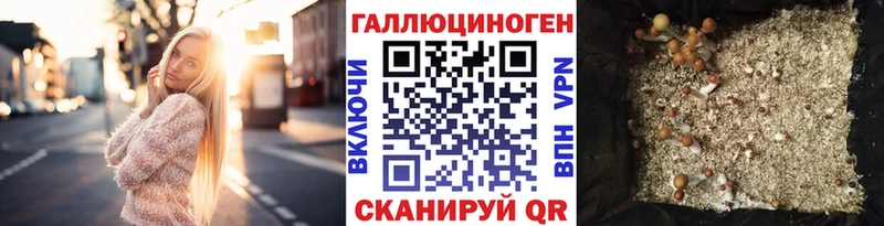 Галлюциногенные грибы прущие грибы  Новороссийск 