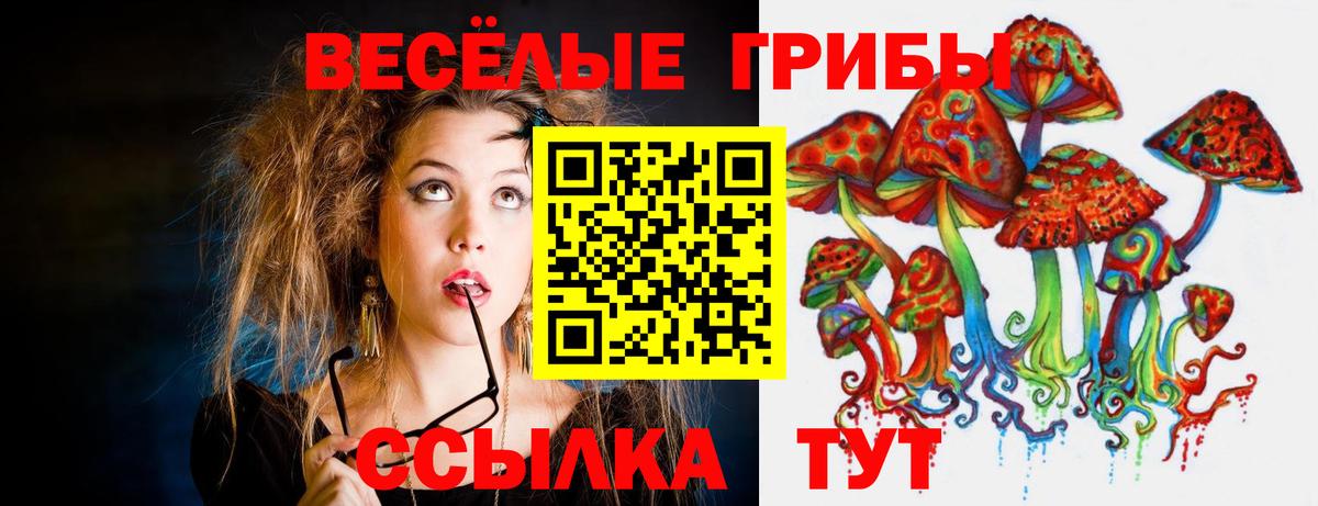 Новороссийск  Галлюциногенные грибы GOLDEN TEACHER  Вход с VPN  Галлюциногенные грибы Psilocybe 