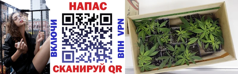 купить закладку  ссылка на мегу вход  Бошки марихуана Bruce Banner  Новороссийск 